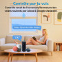 LoraTap 4 Interrupteur Module Volet Roulant Connecté, Commutateur Rideau Stores WiFi, Compatible avec Alexa Google Home pour Com