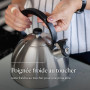 FLORINA - Bouilloire Inox (2,5 l) I Bouilloire Sifflante BRILLO I Poignée Résistante à la Chaleur I Bouilloire non Electrique I 