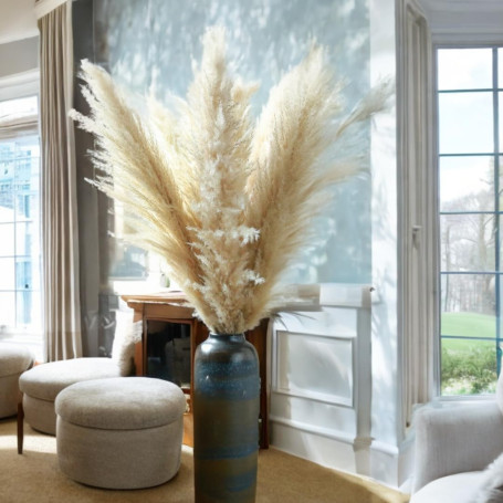Pampa XXL Séchées Naturelles 100cm, Lot de 4 Fleurs séchées- Pampas sechees Decoration - Decoration Salon - Bouquet Fleurs séché