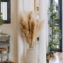 Pampa XXL Séchées Naturelles 100cm, Lot de 4 Fleurs séchées- Pampas sechees Decoration - Decoration Salon - Bouquet Fleurs séché