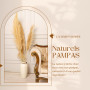 Pampa XXL Séchées Naturelles 100cm, Lot de 4 Fleurs séchées- Pampas sechees Decoration - Decoration Salon - Bouquet Fleurs séché