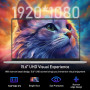 rumlawn Ordinateur Portable 15,6 Pouces 8Go RAM LPDDR4 256Go SSD (jusqu'à 1 to) PC Portable Celeron N4000 Processeur, 1920x1080P
