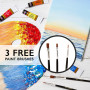 Peinture Acrylique de Kit 24 couleurs avec 3 pinceaux pour fournitures scolaires travaux manuels peintures papier toile peinture
