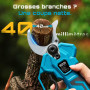 SEESII Secateur Electrique Sans Fil 40 mm –Secateur Electrique avec 2*Batteries 4000mAh, Lame SK5, Moteur Sans Balais, Écran LCD