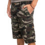 Quiksilver Homme Shorts de skateboard, Camo Print Crucial Battle, 31