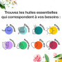 Voshuiles - Huile Essentielle Katafray - 20ml - 100% Pure et Naturelle - HEBBD - Utilisation en Massage dans Huile Végétale - Pa