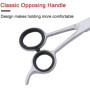 SS INSTRUMENTX Ciseaux de coiffure, ciseaux de coiffeur, ciseaux de coupe pour Salon de coiffure, ciseaux de coupe amincissants