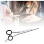 SS INSTRUMENTX Ciseaux de coiffure, ciseaux de coiffeur, ciseaux de coupe pour Salon de coiffure, ciseaux de coupe amincissants
