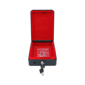 Carpoint Coffre-Fort pour Voiture