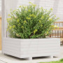vidaXL Jardinière Blanc 60x60x26,5 cm Bois de pin Massif, jardinière d'extérieur, bac à Fleurs, boîte à Plantes, jardinière de t