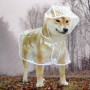Bireegoo 1 manteau de pluie imperméable en plastique transparent pour chien de petite et moyenne taille (L)