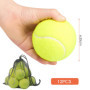 MeoZynxadril 12 Pièces Balles de Tennis d'Entraînement, Jaunes, pour Adultes, Enfants et Chiens - Avec Sac de Transport en Filet