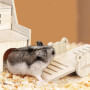 Zwenjuan Jouets pour Hamster,Jouet Pont à Bascule en Bois,Jouets molaires Jouet de Hamster Accessoire,Jouets Cochon d'Inde à mâc