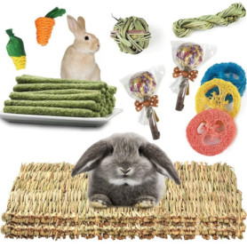 Lot de 2 tapis d'herbe pour lapin avec divers jouets à mâcher en forme de lapin, tapis de lit tissé naturel pour cochon d'Inde, 