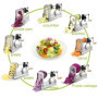 Spiraliseur WellToBe Coupe-légumes Spirale végétale 6 lames Courgette Pâtes et nouilles Spaghetti Spiralizer améliorée Spiralise