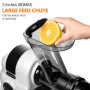 AMZCHEF Extracteur de jus à goulotte large de 80 mm - 150W extracteur de jus de fruits et légumes haute nutrition à mastication 