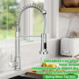 Robinet Cuisine,Mitigeur à Ressort avec Douchette Extractible, Robinetterie Robuste 2 Modes,Monocommande Eau Chaude & Froide, Fl