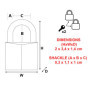 Master Lock 9120EURTCC Lot de 2 Cadenas à Clé en Aluminium Massif, Gris, 2 x 3,4 x 1,4 cm