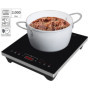 Plaque de cuisson à induction 2000 W avec commandes tactiles [Rosenstein & Söhne]