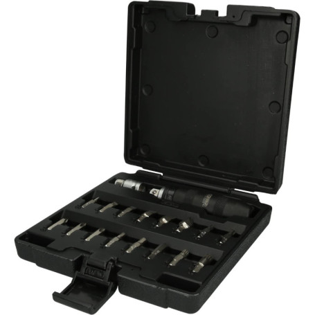 KS TOOLS 515.1000 Coffret de tournevis à frapper avec embouts, 18 pièces Noir
