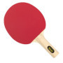 Idena 40201 - Raquette de Tennis de Table pour débutant avec Manche Droit en Bois, Un côté Lisse en Noir et Rouge