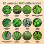 Set de graines d'herbes aromatiques BIO, graines résistantes aux graines, herbes de cuisine et de jardin, set de 12 variétés de 
