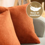 Blumtal Housse de Coussin 40x60 cm canape - Lot de 2 - Housse Coussin 40x60 cm en Chenille Douce avec Fermeture éclaire cachée -