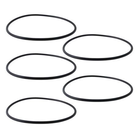 SG Store 5 Pièces Joint d'étanchéité de Réservoir Joints Toriques Pièce de Rechange P61214 Compatible avec Bestway Flowclear Fil
