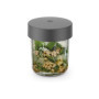 Kenwood Mini hachoir et moulin KAG30.000GY, accessoires en verre, collection Go, hachoir et moulin pour robot de cuisine Kenwood