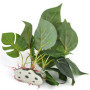 Jzhen Plante d'aquarium Artificielle de 20 cm, DéCoration Accueil Doux Plantes