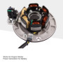 GOOFIT Magneto Stator Kit Rotor w lumière Remplacement pour POW6471 Motobineuse Moteur à Yx 160 CC Pit Dirt Bike Lanceur 150 CC