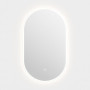 Dileci - Miroir Ovale LED 50x80 cm – Éclairage Intégré avec Lumière Blanche – Fonction Désembuage et Bouton Tactile – Idéal pour