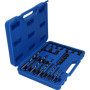 BRILLIANT TOOLS BT541900 Jeu d’extracteurs de vis, 25 pcs [Powered by KS TOOLS]