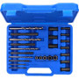 BRILLIANT TOOLS BT541900 Jeu d’extracteurs de vis, 25 pcs [Powered by KS TOOLS]