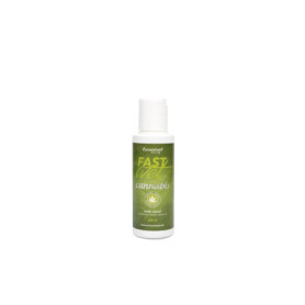 Extasialand Fastwet Cannabis Gel Lubrifiant 100 ml Lubrifiant à base de l'eau avec l'huile des graines de chanvre Sativa water b