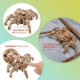 UGEARS Hexapod Explorer Puzzle 3D - Kits de modèle de Robot araignée mécanique Cadeau de fête des pères pour Adultes Puzzles en 