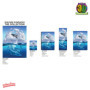 3D LiveLife Affiche Murales lenticulaires Symphonie de Dauphins de Deluxebase. Poster Océan 3D sans Cadre. Décoration Murale Par