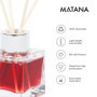 MATANA 10 Bouteilles Diffuseur en Verre Vides avec 40 Bâtonnets de Parfum - Diffuseur Parfum Bouteilles, Flacon Diffuseur Parfum