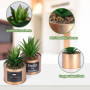 BELLE VOUS 3 Pièces Mini Plante Artificielle Interieur en Plastique avec Pot en Métal Cuivré - 10 x 7,5 cm - Fausse Plante Cactu