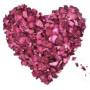 200g Pétales de Rose Véritables, Naturel Pétales de Roses pour Bain des Pieds Spa, Séchées Pétale Rouge de Fleur Confettis pour 