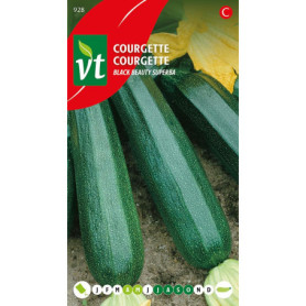 Semences de Courgettes Black Beauty Superba - Légumes Savoureux pour Jardin Productif