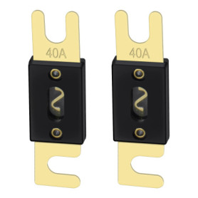 Heschen ANL Lot de 2 fusibles ANL-40 40 A pour système audio de voiture Doré et noir