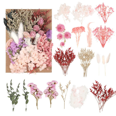 Fleurs séchées Naturelles et pétales séchés – Fleurs séchées colorées pour Loisirs créatifs, idéales pour résine, Bougies, Bijou