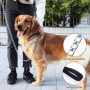 CVDYWDJIE 1 Laisse pour Animaux De Compagnie, 1 Collier pour Animaux De Compagnie, Laisse pour Chien en Métal, Ensemble De Prome