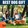 AMA SPORT - AD-Dog-Orange - Balles de Tennis pour Chiens (6,35 cm) -Taille M - Orange - Lot de 12 - Rebond Adapté - Haute Visibi