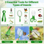 Kit Exploration Enfant 5 Pièces, Boîte d'Observation avec Loupe, Capture Insectes, Cages à Insectes, Filet à Papillons, Cadeau É
