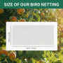 Filet de protection contre les oiseaux - Maille fine - 15 x 15 m - Noir - Résistant aux intempéries et aux UV - Noir