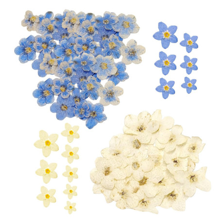 KSBBHDS 80 Morceaux De Mini-Fleurs Séchées, des Fleurs Décoratives Simples, des Accessoires De Maison, Peuvent Être Utilisés pou