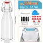 YAMAIDUO Lot de 10 Bouteille Verre 250ml, Bouteille en Verre avec Bouchon Mécanique avec 10 sceaux, 10 étiquettes, entonnoir pou