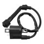 Wai Danie Bobine d'allumage Moto Compatible avec Yamaha Grizzly Raptor Rhino 660 YFM 350 YFM400 YFM660 2002-2008 Big Bear 400 Pi